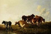 Cattle in the pasture. Thomas